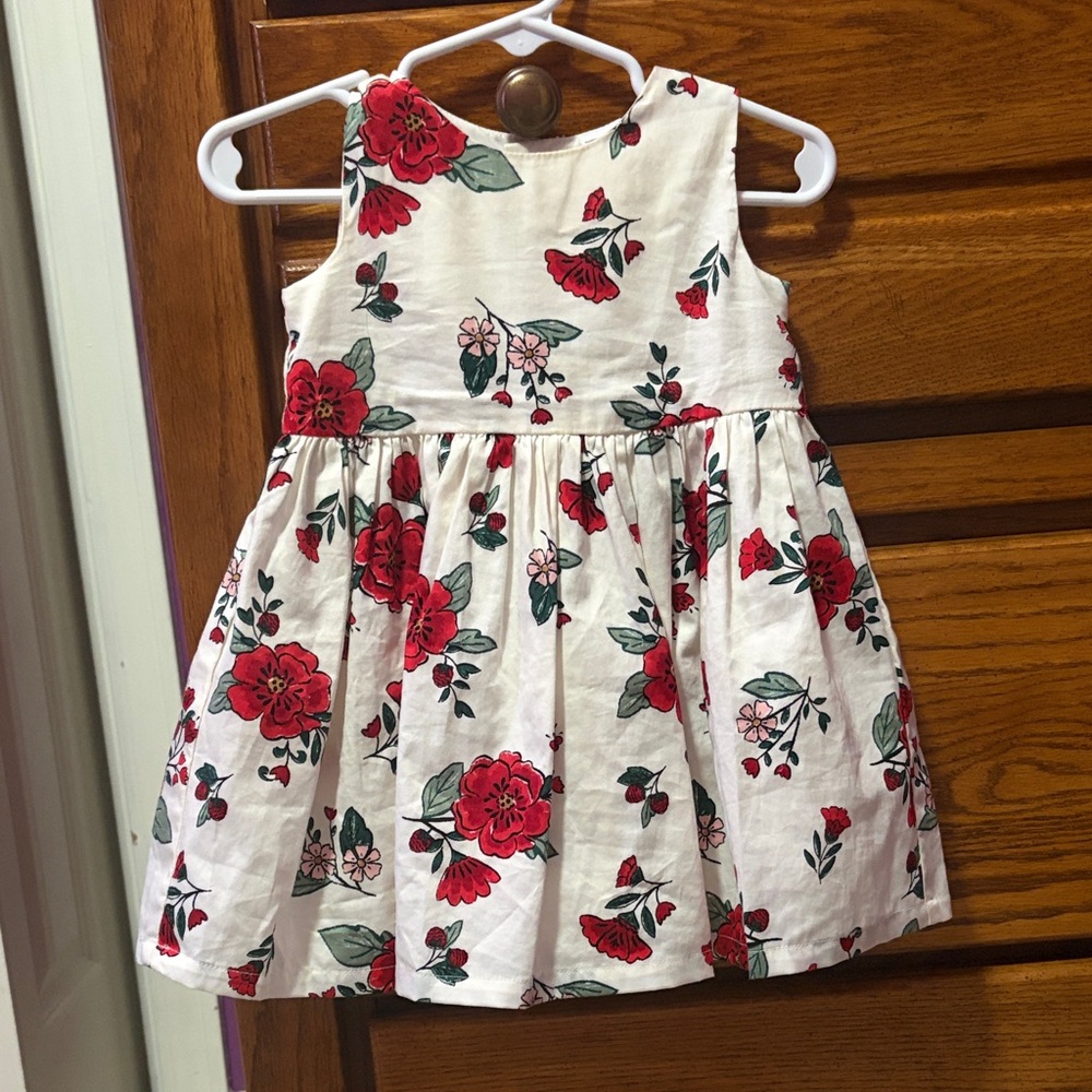 Carter's Red and Green Floral Dress